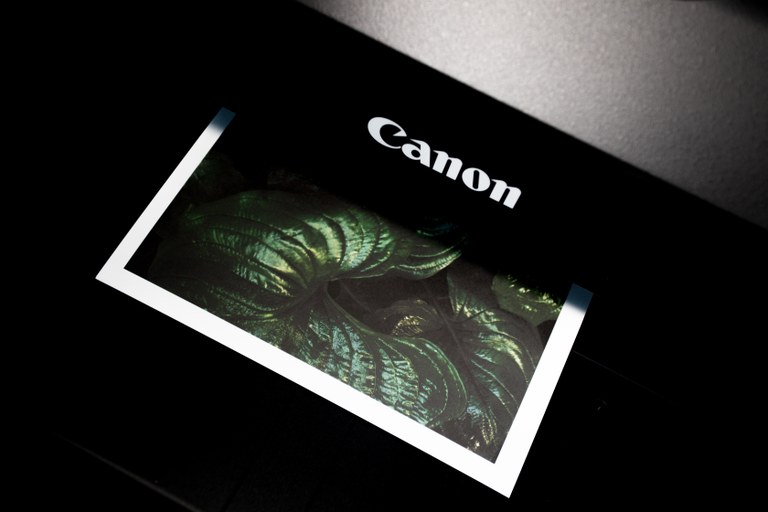 Canon printer with a green leaf. 
