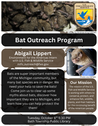 All About Bats - Bat Outreach Program