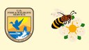 Fantastic Pollinators