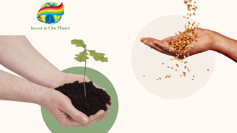 Arbor Day