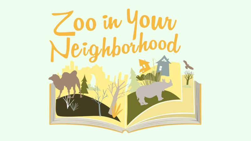 Zoo in your Neighborhood