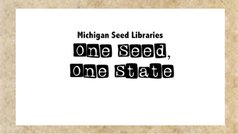 One Seed One State