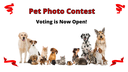 Voting is Now Open